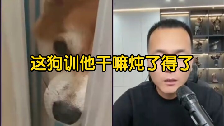 【Tổng hợp livestream của Phan Hồng】Con chó này huấn luyện làm gì, nấu luôn đi cho rồi