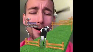 Moo~