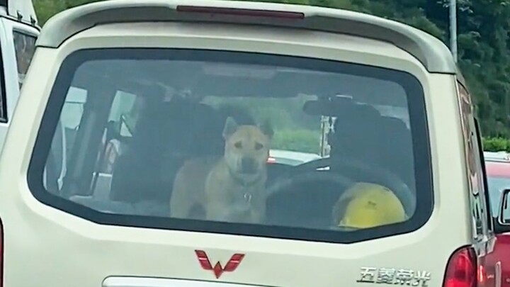 يرجى الانتباه إلى ازدحام الطريق أمامك!