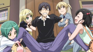 Recommended for real harem anime! The male protagonist's harem will only increase