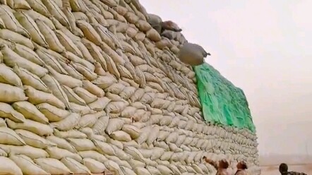 سائقو الشاحنات الكبيرة مساكين جدًا، يتعرضون للتنمر من كل حدب وصوب.