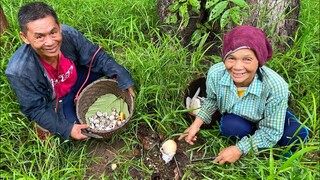 “เห็ดระโงก” 2เฒ่าโชคดีคัก ถ้าสิหลายปานนี้กะเป็นตาก้านหาอยู่เบิดคืนนิล่ะ!!