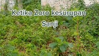 zoji = Zoro dan sanji menjadi 1