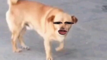 I'm right across, watching you have fun (and getting mad)