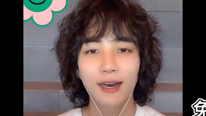 How did you turn into a curly-haired puppy, Little Rabbit?! Koreans have their own Bu Jingyun—this i