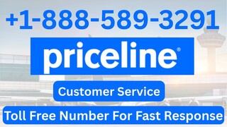 Peice𝓵𝓲𝓷𝓮® {New} Call to live agent USA Contact Numbers: Complete 2025 U.S.A