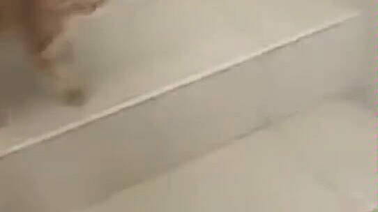 น่ารักเกินไปแล้ว…เฉา