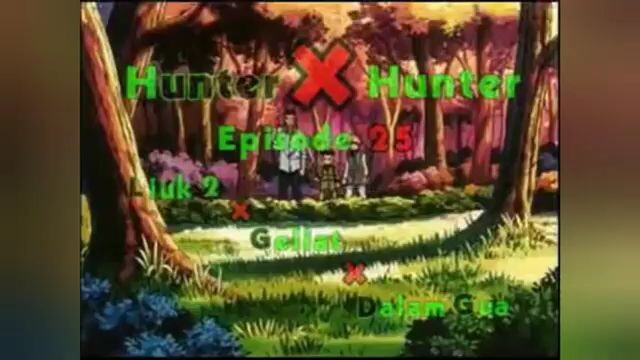 hunter x hunter 1999 volume 13