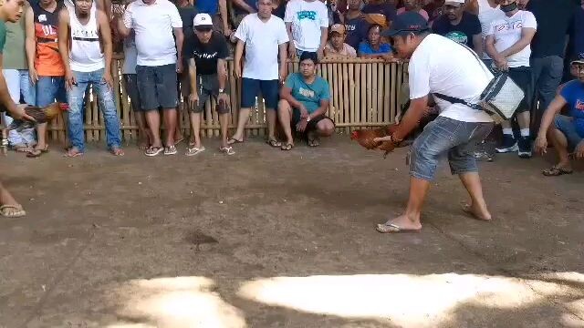 melsim black in action