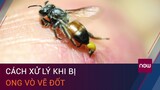 Cách xử lý khi bị ong vò vẽ đốt, giảm nguy cơ tử vong | VTC Now