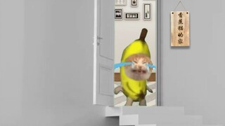 قطة الموز تدعو أصدقاءها للزيارة، لكنها انتظرت طويلاً ولم يأتِ أحد.