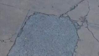 Hey, your cat fell off