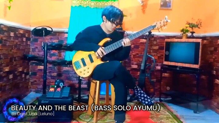 Beauty And the Beast (Bass Solo)