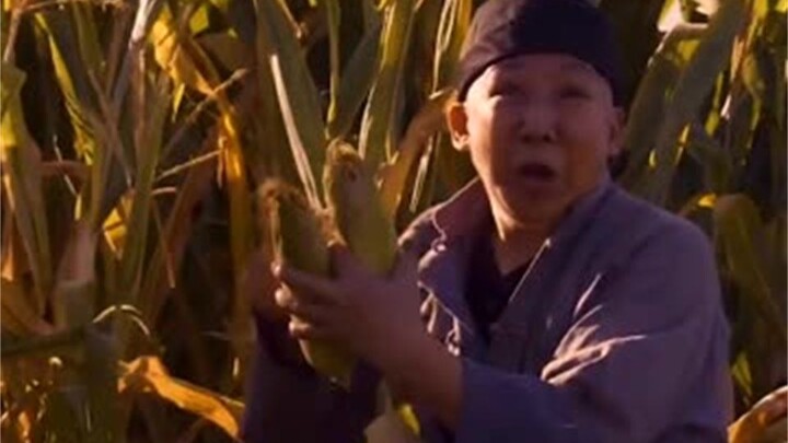 พระนางซูสีไทเฮาหนีกระเจิง แค่ได้กินข้าวโพดซักเม็ดก็ถือว่าไม่เลวนะ