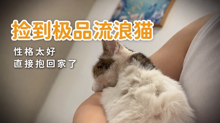 This cat’s personality is so good it leaves me speechless.