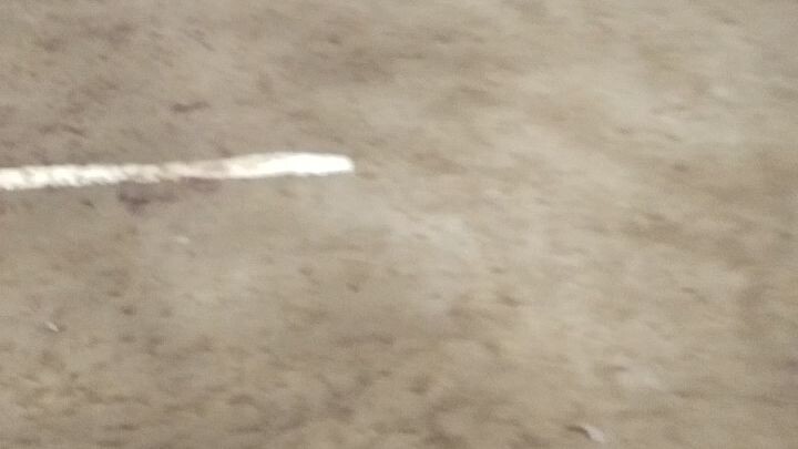 champion naman tayo. Buti nalang matibay ang ating manok