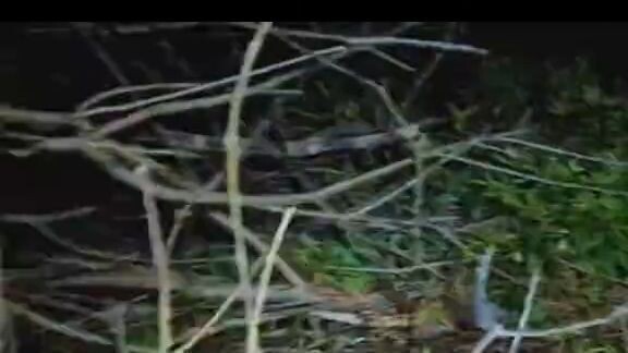 Penampakan hantu terseram #penampakanhantu