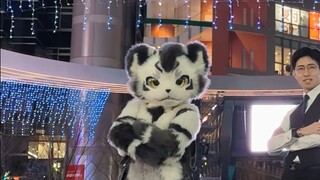 Menari Ikebukuro bersama Pak Gintan!