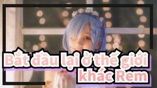 [Bắt đầu lại ở thế giới khác] Tổng hợp Cosplay Rem