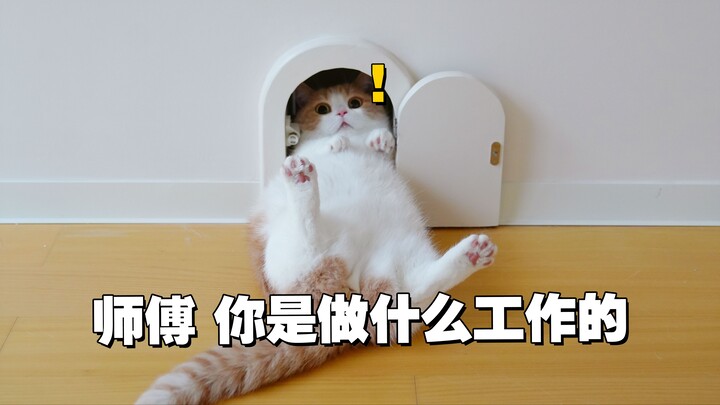 Renovation? You fix it, then you have to repair it again!