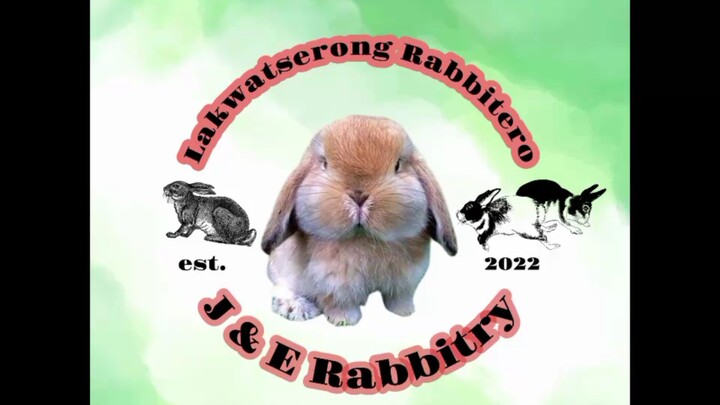 Animal Love 💖💖💖