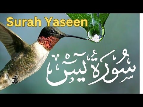 World's most#learn•Of surah Al Yasin Beautiful recition of Quraan