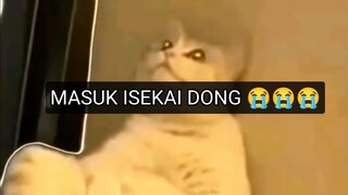 Apa sih cing 😭😭😭