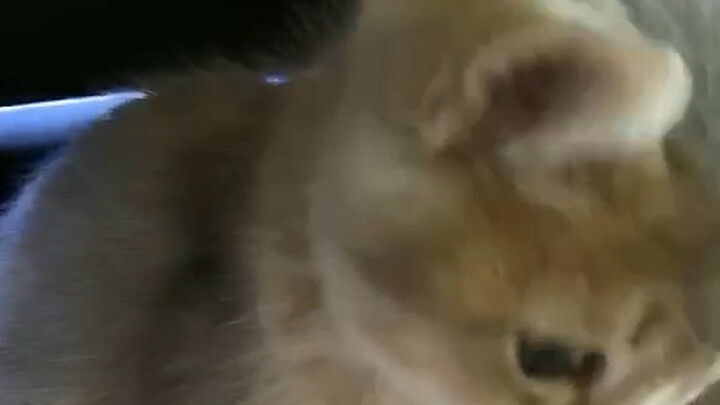 We’d just met, and I just wanted to kiss it—so he punched me.