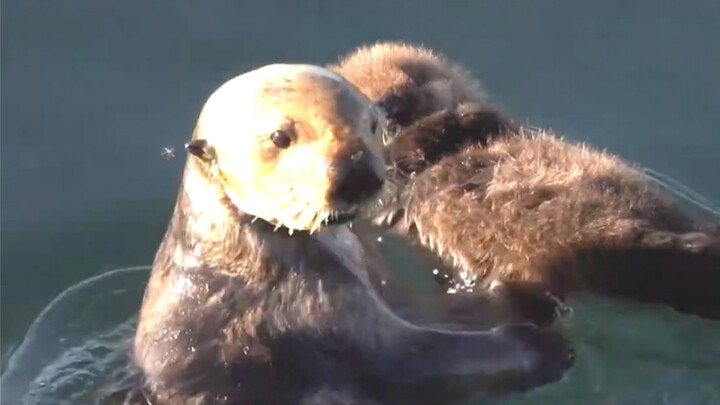 Thật tuyệt vời khi có tình yêu của mẹ~