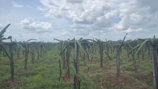 这世界上，回报率蕞高的始终是全力以赴的投资自己”