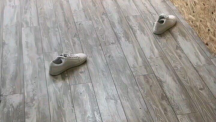 My brain: O → 0 → o → . →．→