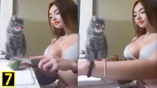 KÊNH NHỊ - ĐỌC SUY NGHĨ ĐỘNG VẬT (KÌ 7) HÀI CHÓ MÈO MỚI NHẤT FUNNY CAT, DOG, ANIMALS 2021