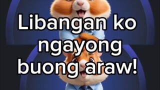 Hamster combat naman tayo mag libang