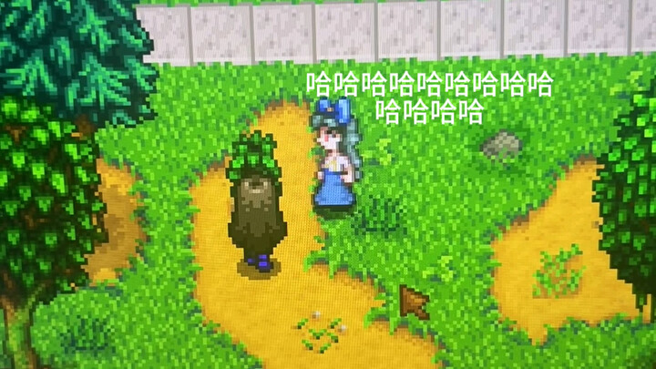 เพื่อนร่วมห้องที่ดีของฉัน