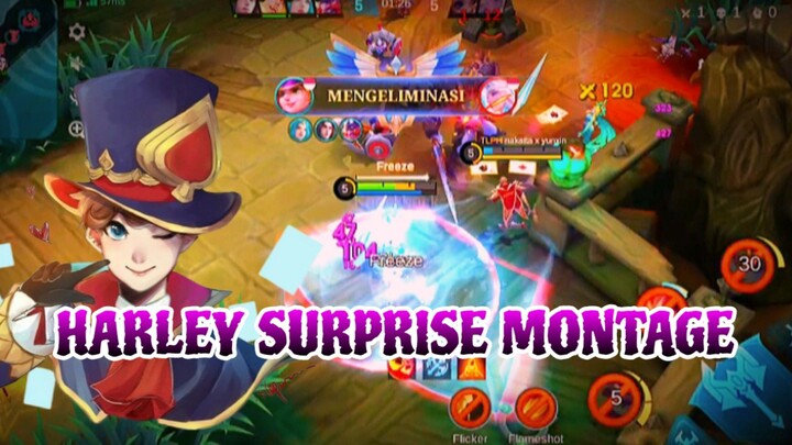 HARLEY SURPRISE MOMENTUM