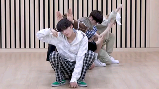 TxT Cat and Dog dance practice