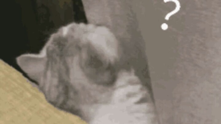 Would switching to these warning images on cigarette packs make quitting smoking more effective?