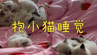 猜猜我一次可以抱几只小猫睡觉呢？
