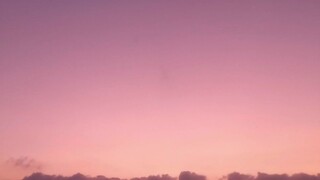 ... Name Song: Head In The Cluos