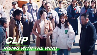 Teng Yue Shoes Failed Quality Inspection | Rising With the Wind EP19 | 我要逆风去 | iQIYI