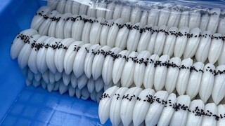月 亮 粑 粑