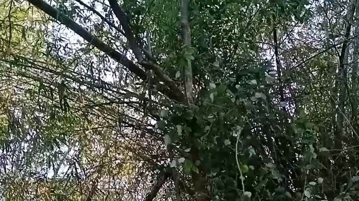 Hala.. Ano kaya yun?