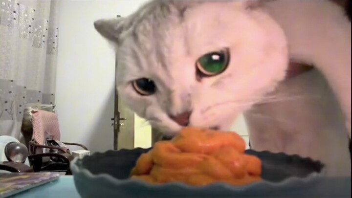 ชาเลนจ์ใครชนะได้กิน