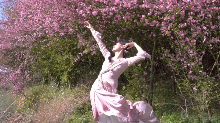烟雨海棠花，春夜沈沈酌。