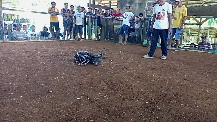 talo po binabae natin mga lods.