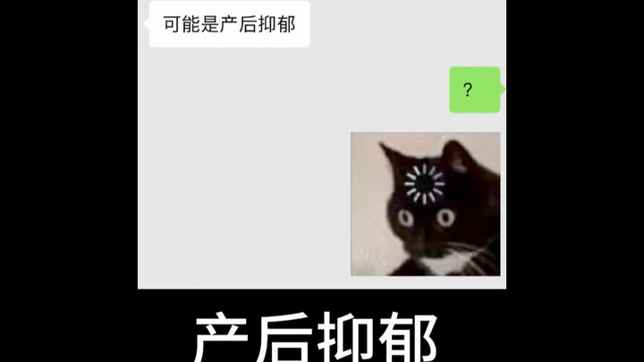 Mèo Maine Coon của tôi bị trầm cảm sau sinh?