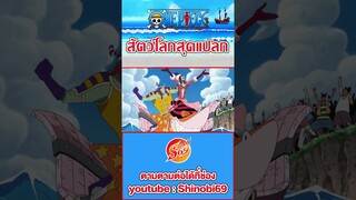 ONE PIECE : มอนด้า #สัตว์โลกสุดแปลก #วันพีช #ワンピース #luffy  #ผลปีศาจ #funny #นกเป็ดน้ำ
