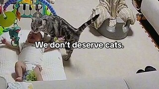 we don't.