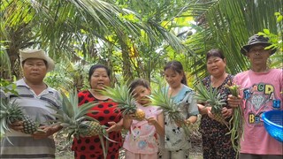 Đã Đến Ngày Thu Hoạch Vườn Thoa Chín Rộ Cả Nhà Lại Được Thêm Bữa Cơm Ngon | TKQ & Family T1027