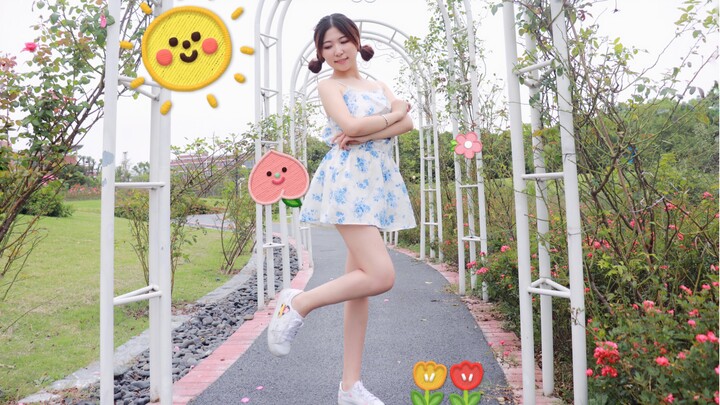【Peach】Hoa đào nở nụ cười/Mùa đông cũng phải nhảy/